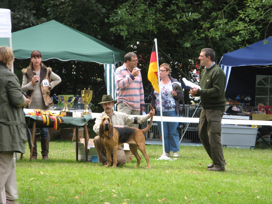 2010 Club show Belge - Saint Hubert   01