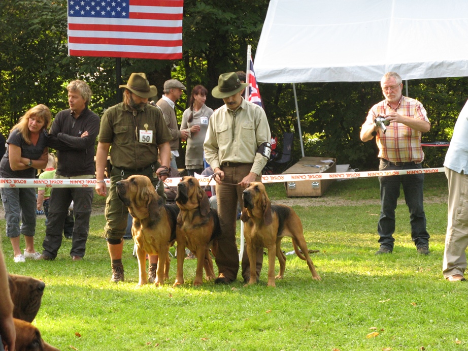 2010 Club show Belge - Saint Hubert   07