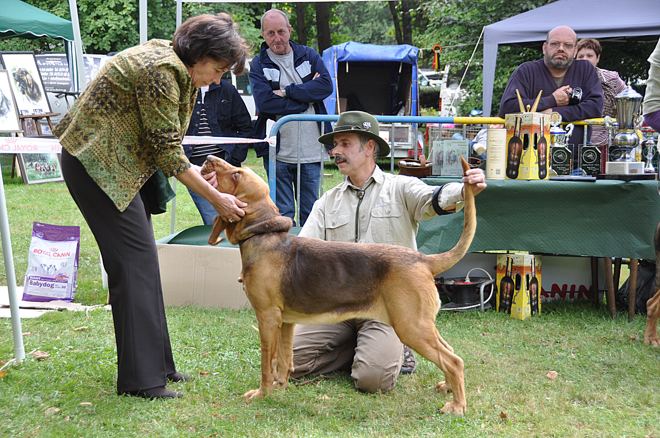 2010 Club show Belge - Saint Hubert    09