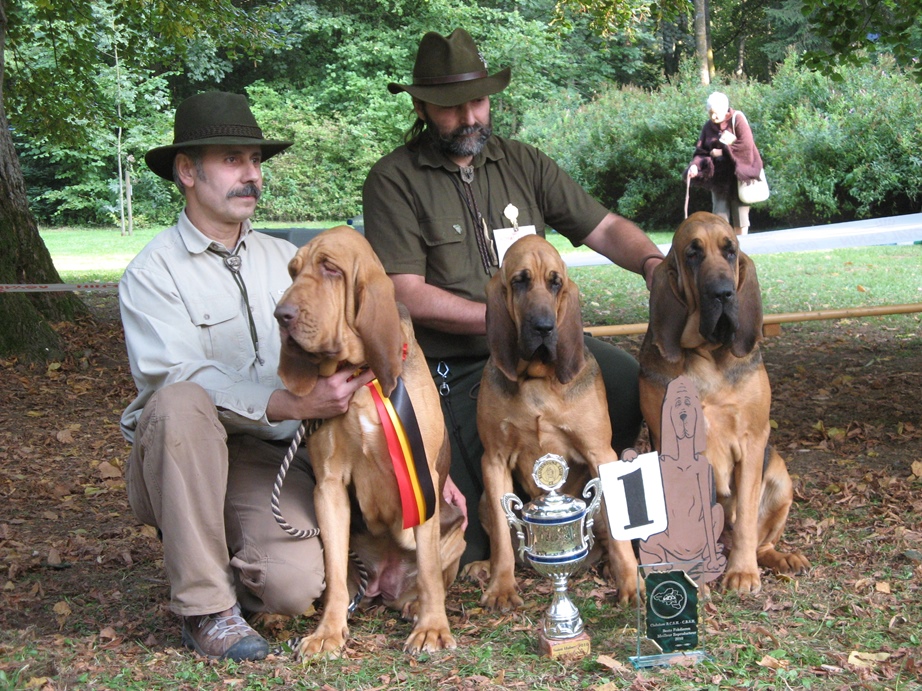 2010 Club show Belge - Saint Hubert    10