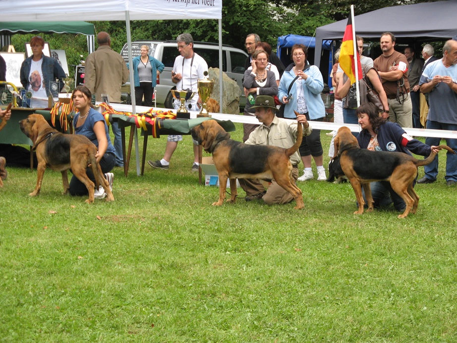 2010 Club show Belge - Saint Hubert   08