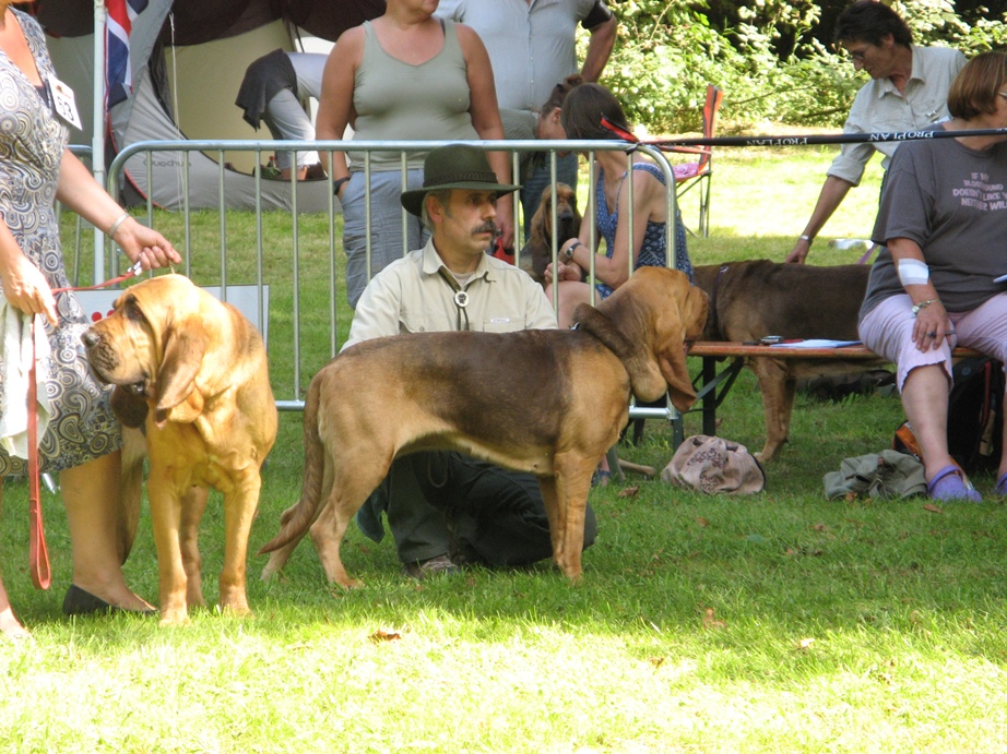 2011 Club show Belge - Saint Hubert   03