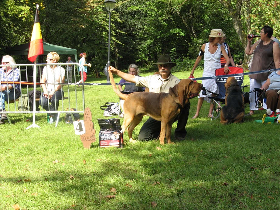 2011 Club show Belge - Saint Hubert   04