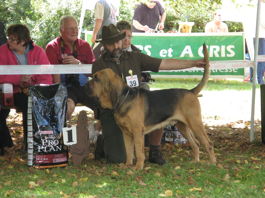 2010 Club show Belge - Saint Hubert   11