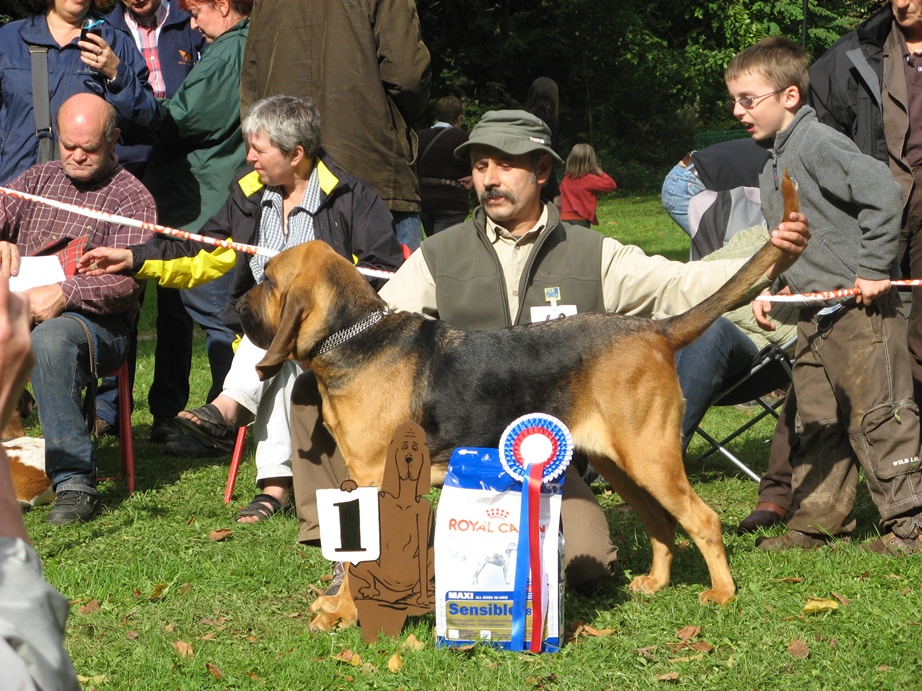 2008 Club show Belge - Saint Hubert   02