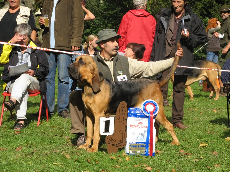 2008 Club show Belge - Saint Hubert   03