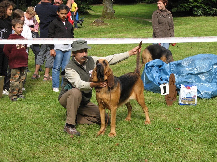 2009 Club show Belge - Saint Hubert   02