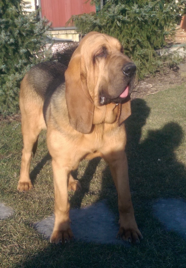 Ignác- 8 měsíců