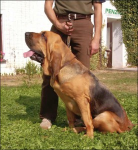 gryzelda-grejs--2007.jpg